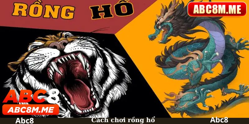 ảnh đại diện cách chơi rồng hổ abc8